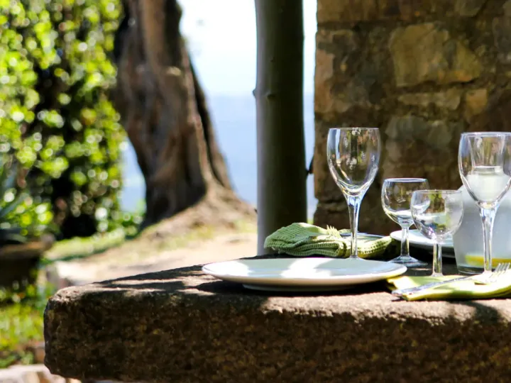 Domaine de la Mouissone